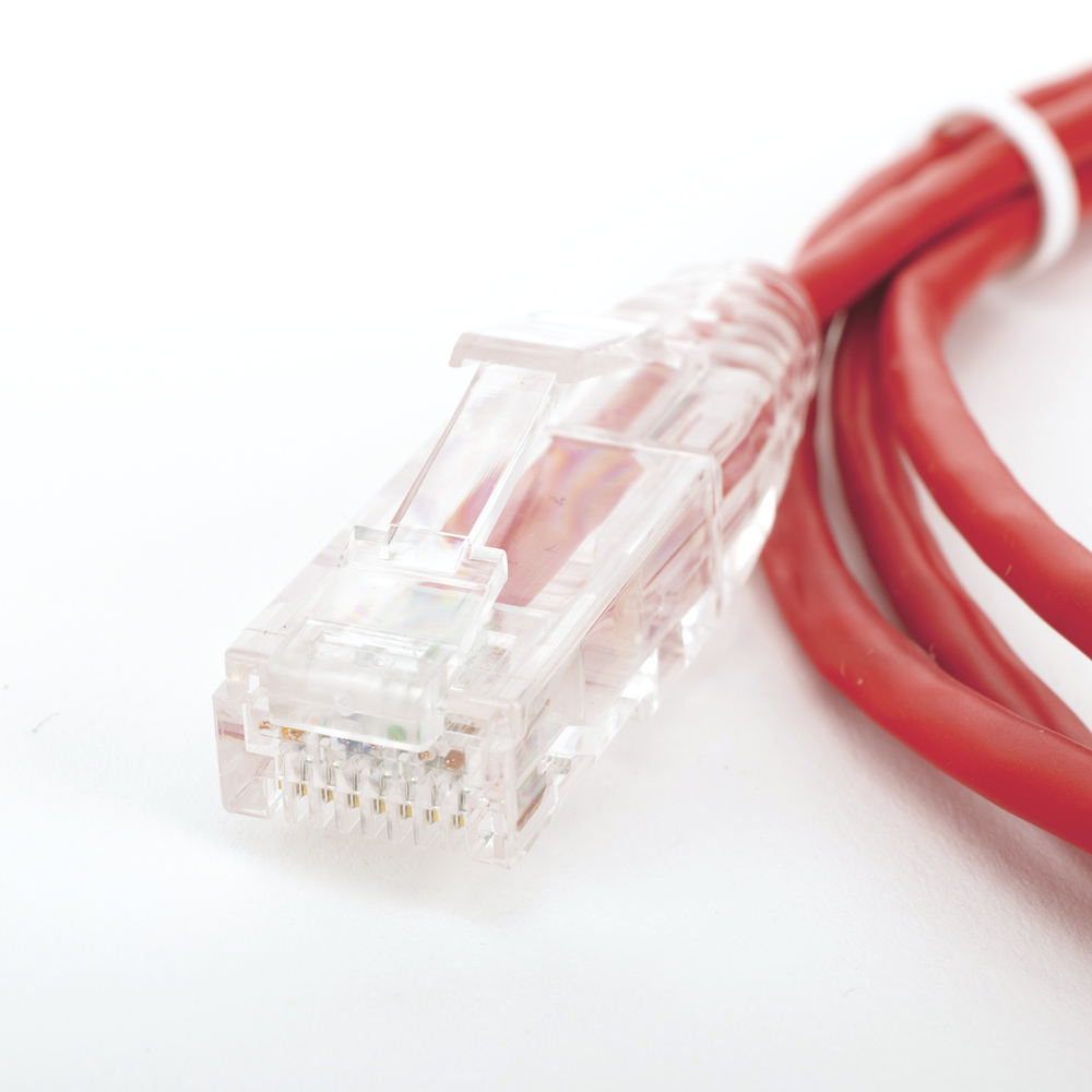 Cable de Parcheo Slim UTP Cat6 - 1.5 Metros (4.92 Pies) Rojo Di?metro Reducido (28 AWG) - Imagen 5